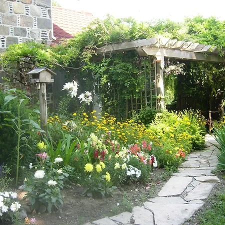 Koch Haus Bed And Breakfast-2